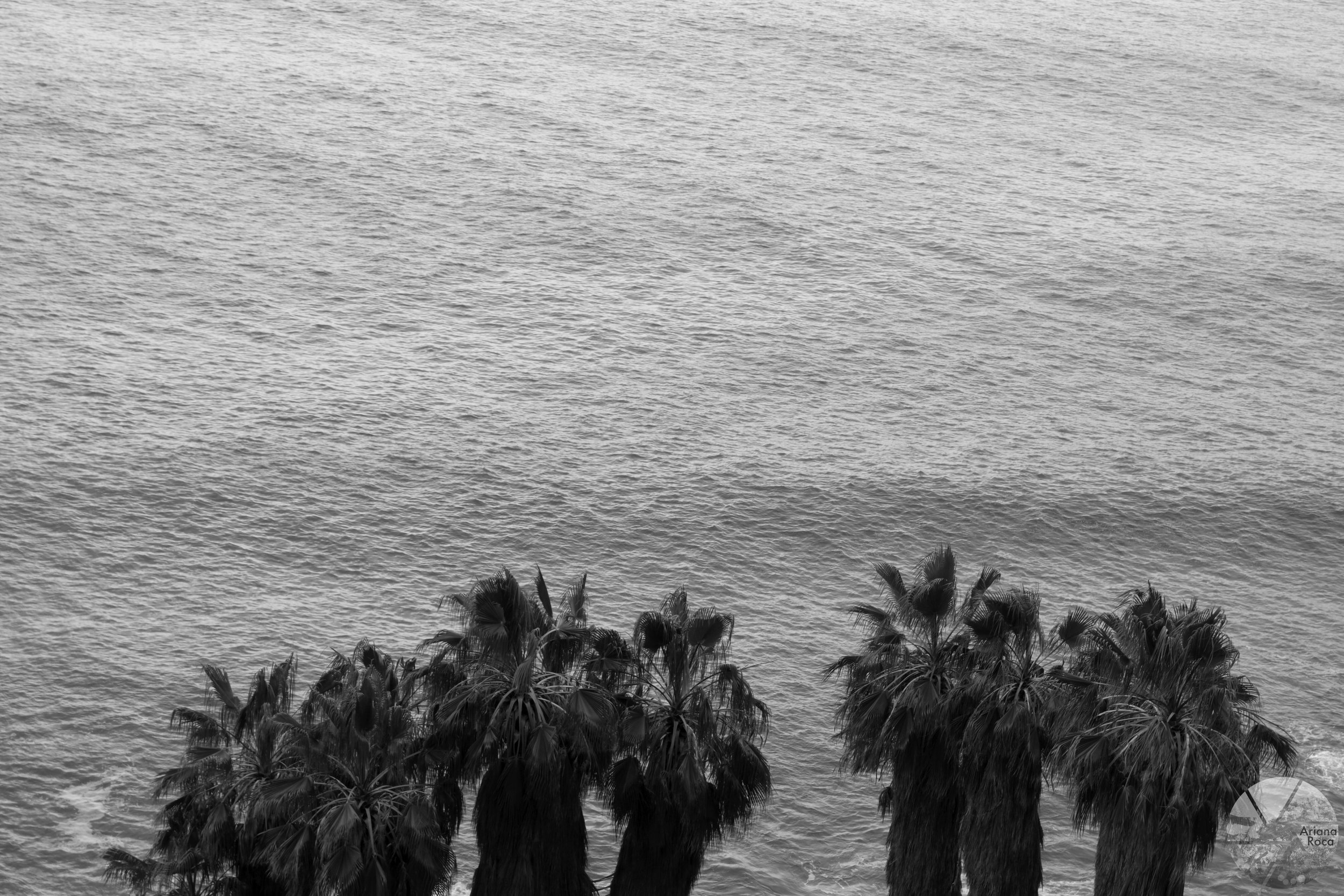 DSC08584bw.jpg