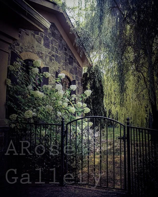 #gardenofthegods #villalife #bloomingflowers #rodironfence #gatedentrance #garden #photoart #☪️ #dreamincolor