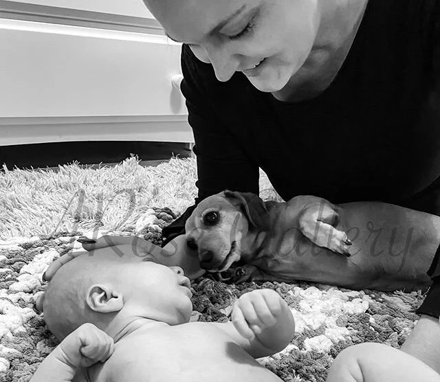 Got to spend the #afternoon #takingphotos of these #beauties if you need me I&rsquo;ll be #editing #editthatshit #babylove #norarose #🌹