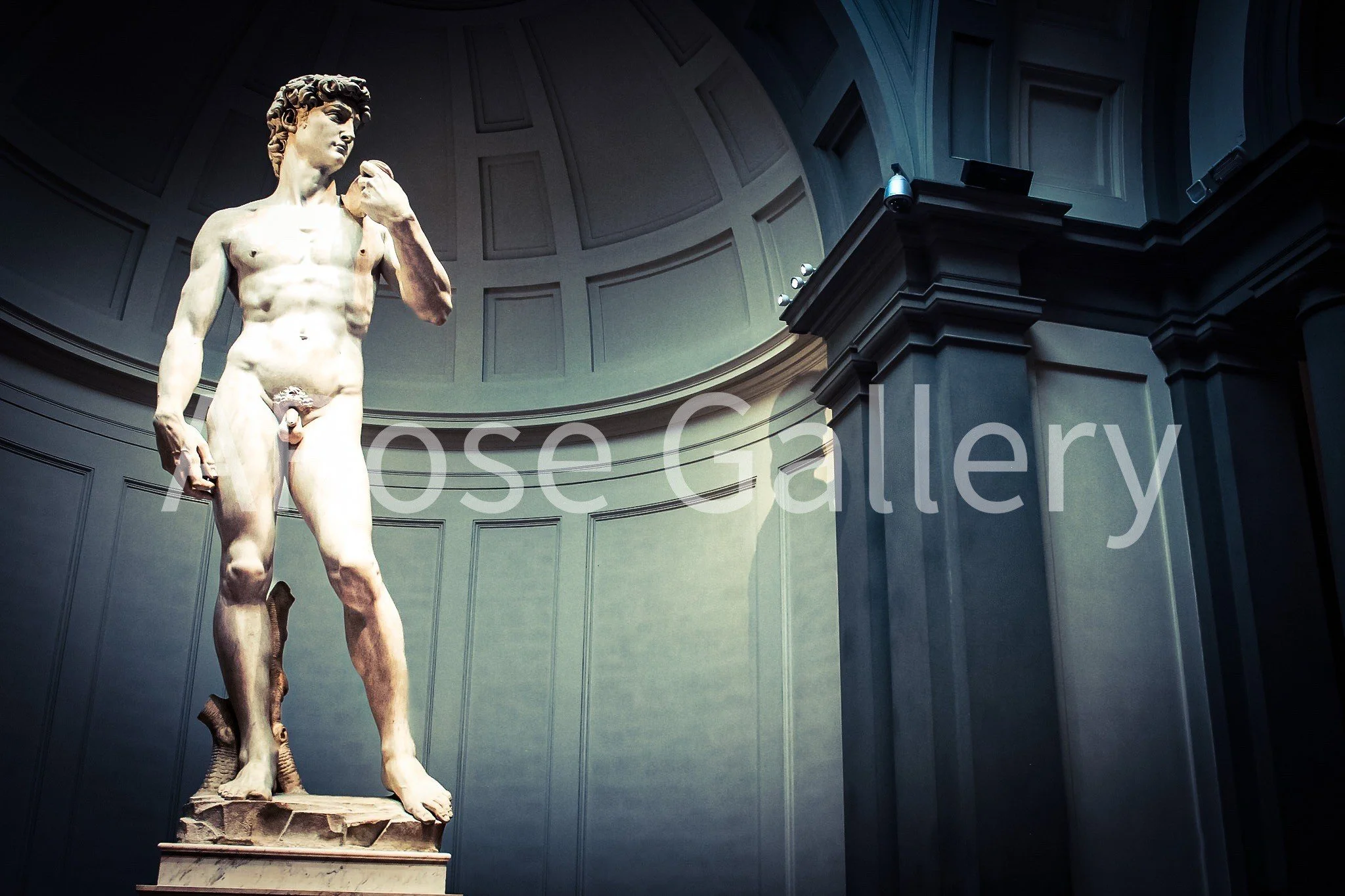 (MICHELANGGELO DAVID) GALLERIA DELL'ACCADEMIA - FLORENCE, ITALY