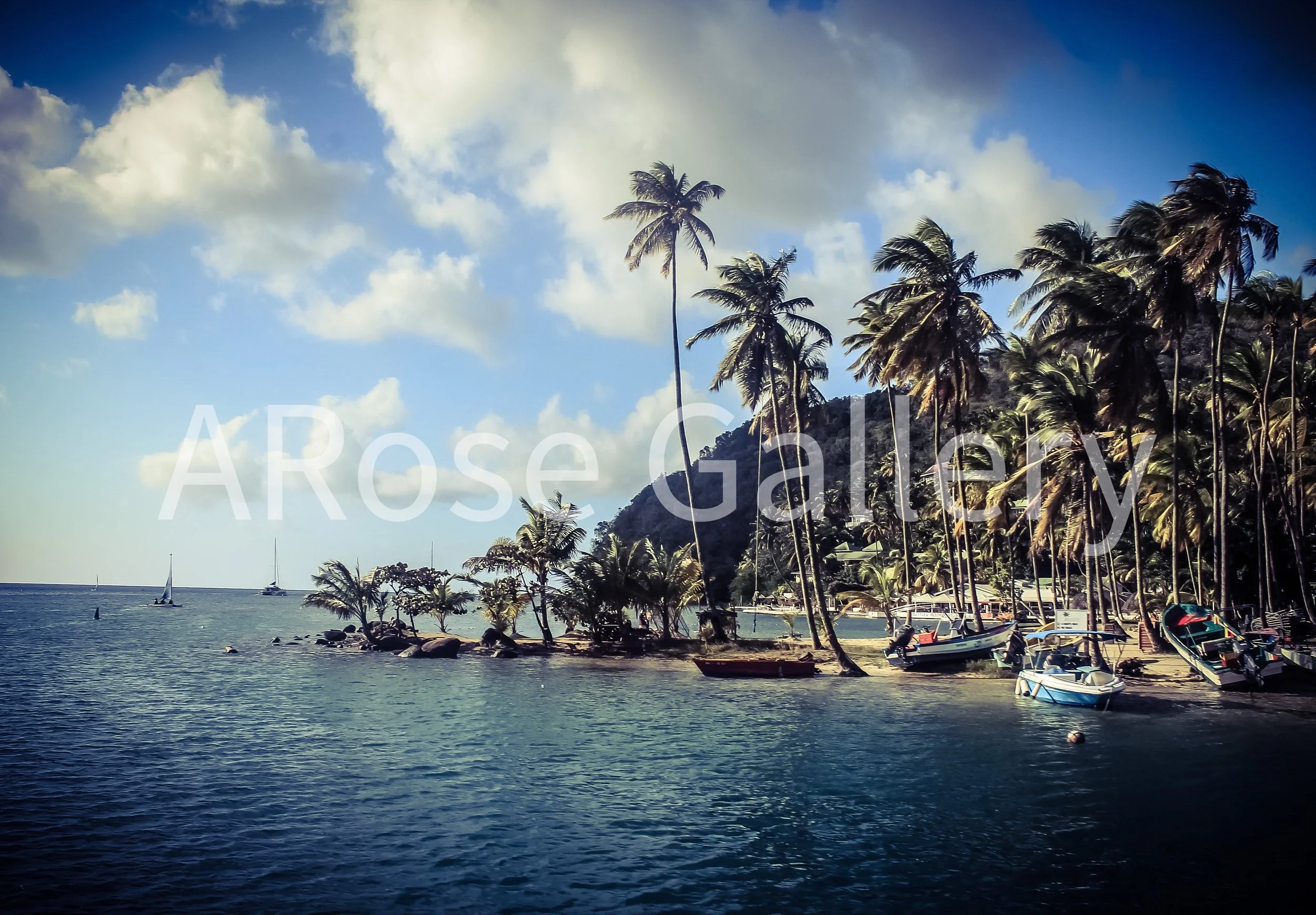 CATAMARAN BOAT COVE - ST. LUCIA