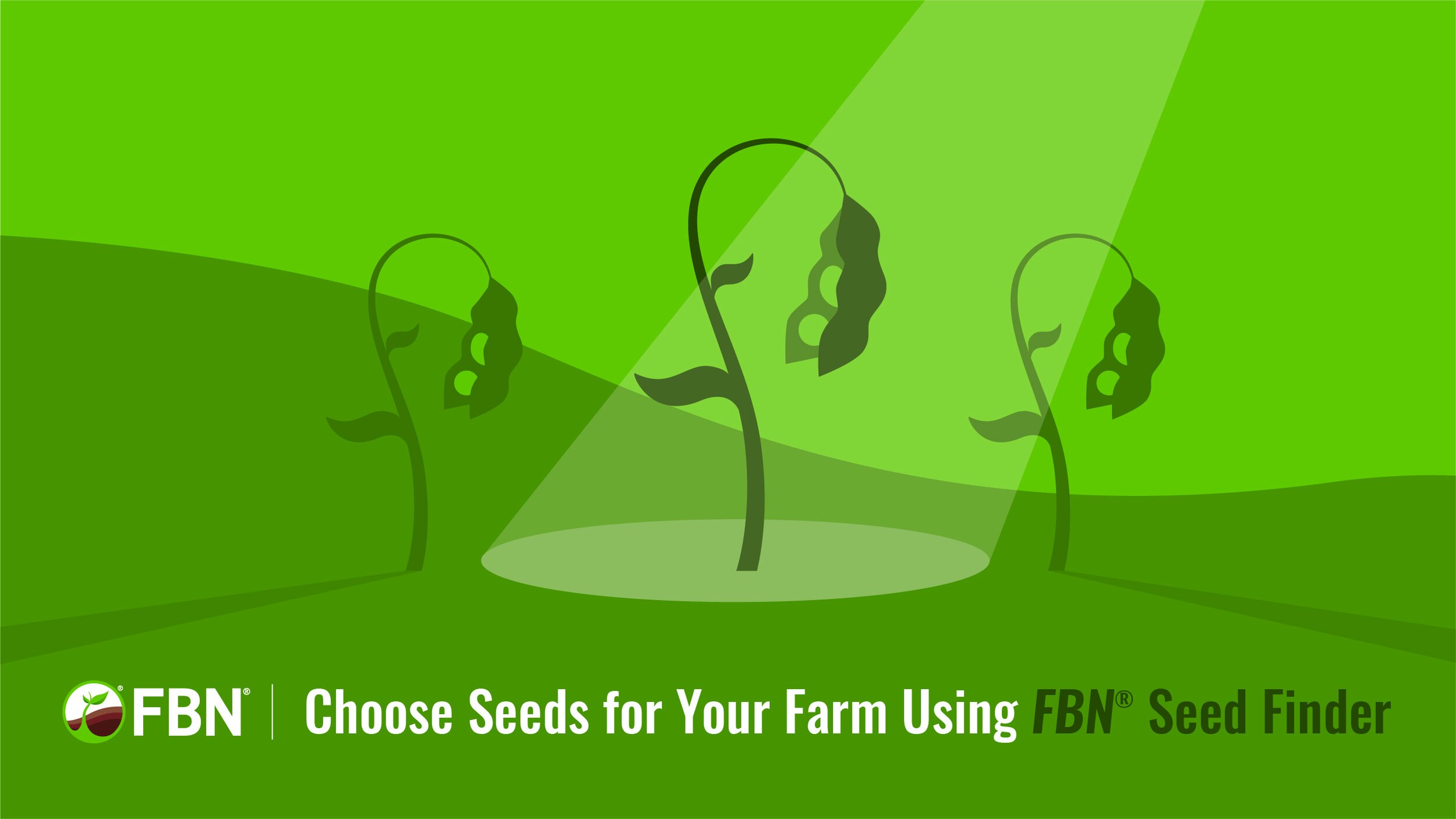 FBNN_OrganicSocial_SeedFinder-02.jpg