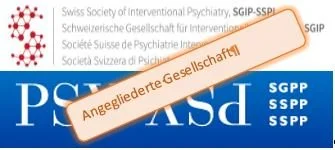 SGIP-SSPI - part of SGPP annual report 2025