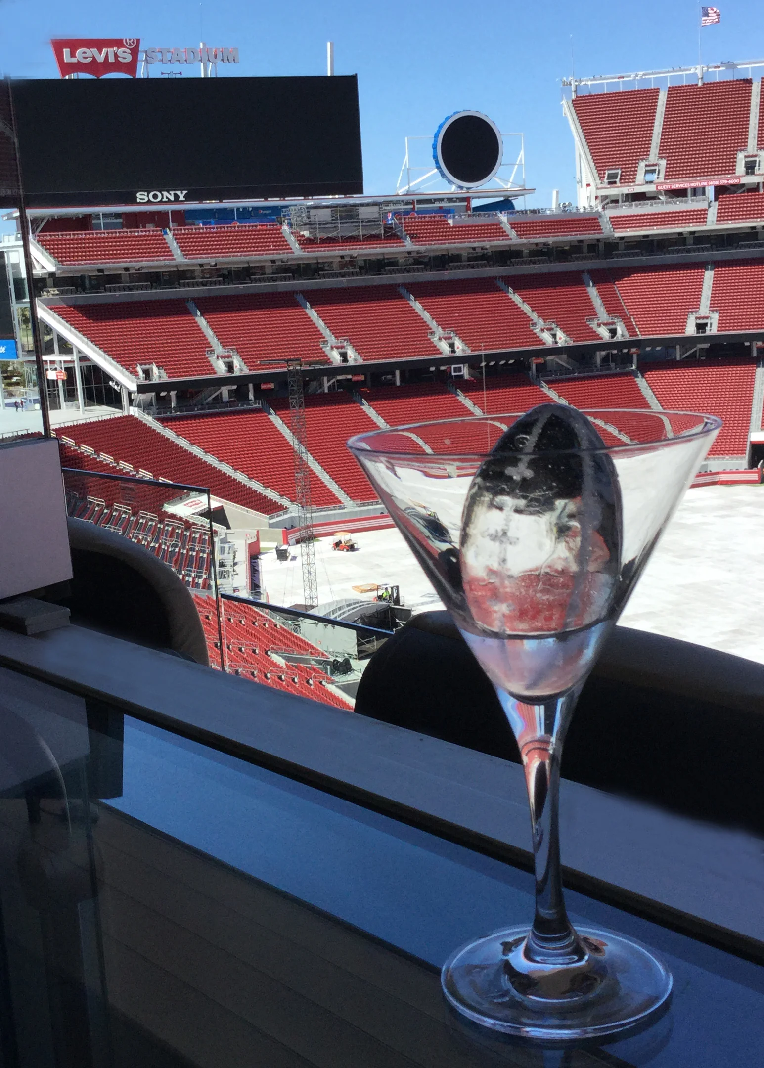 Football Cocktail Cubes