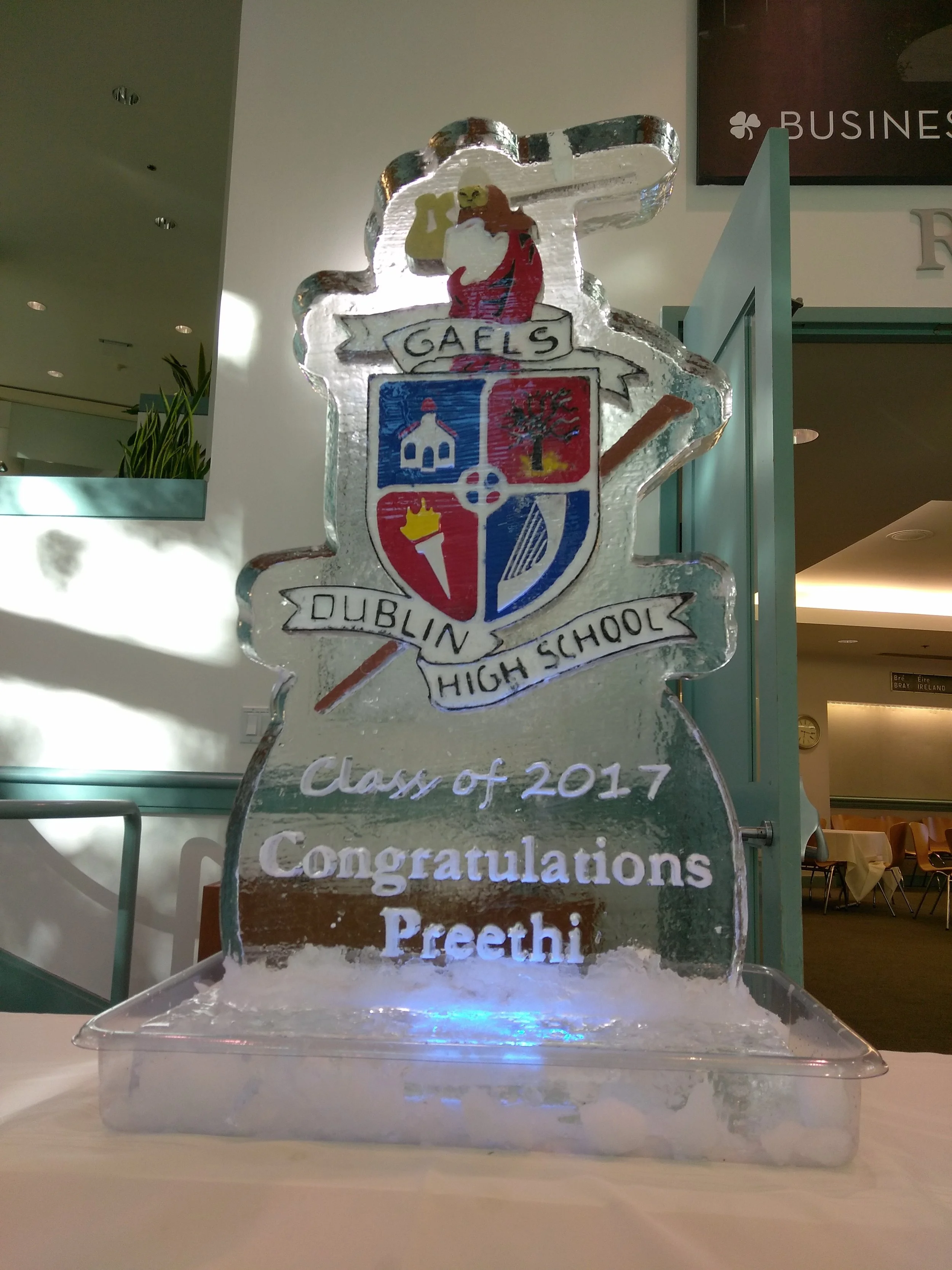 Dublin High School Logo