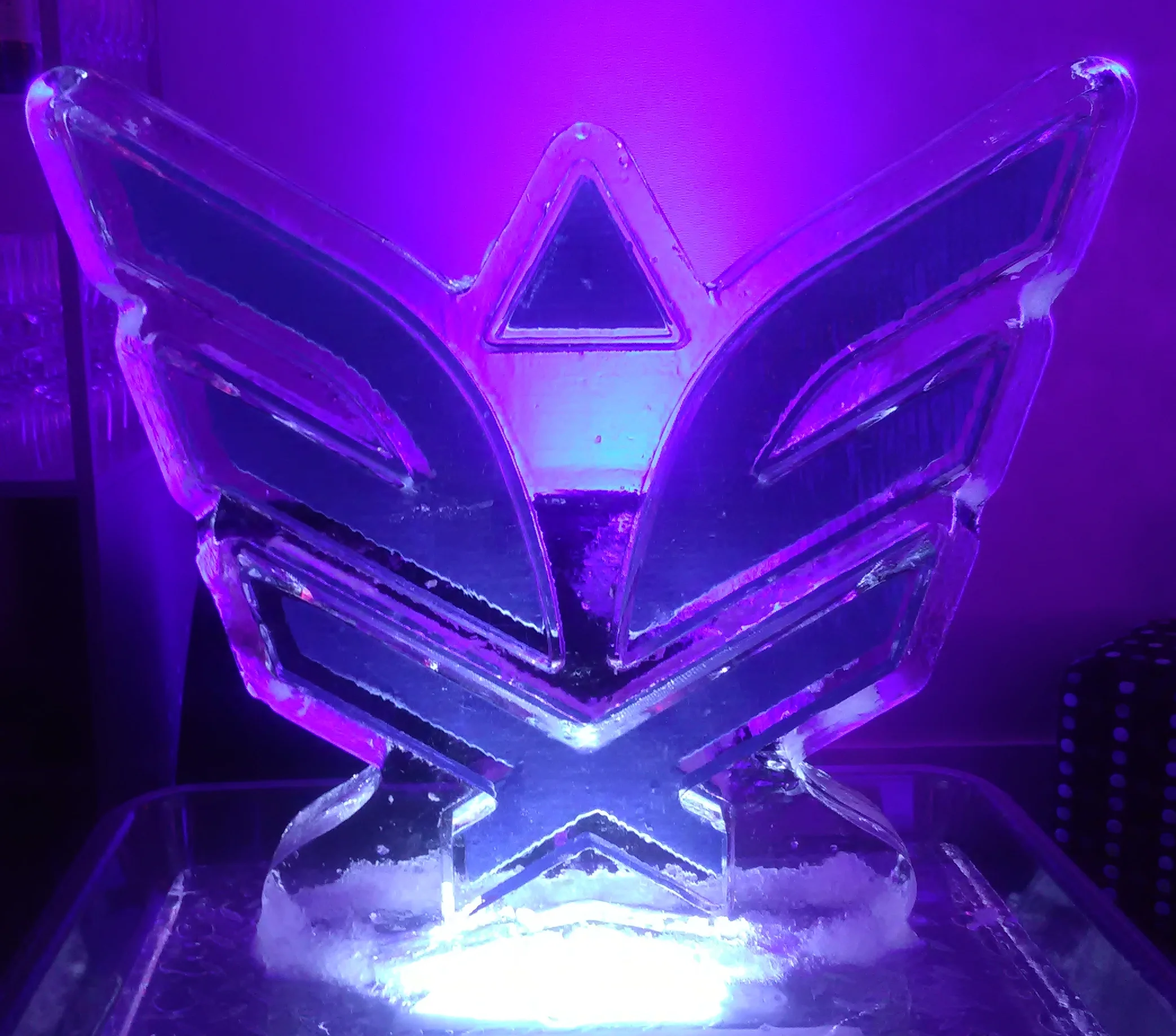 Snowfill Logo