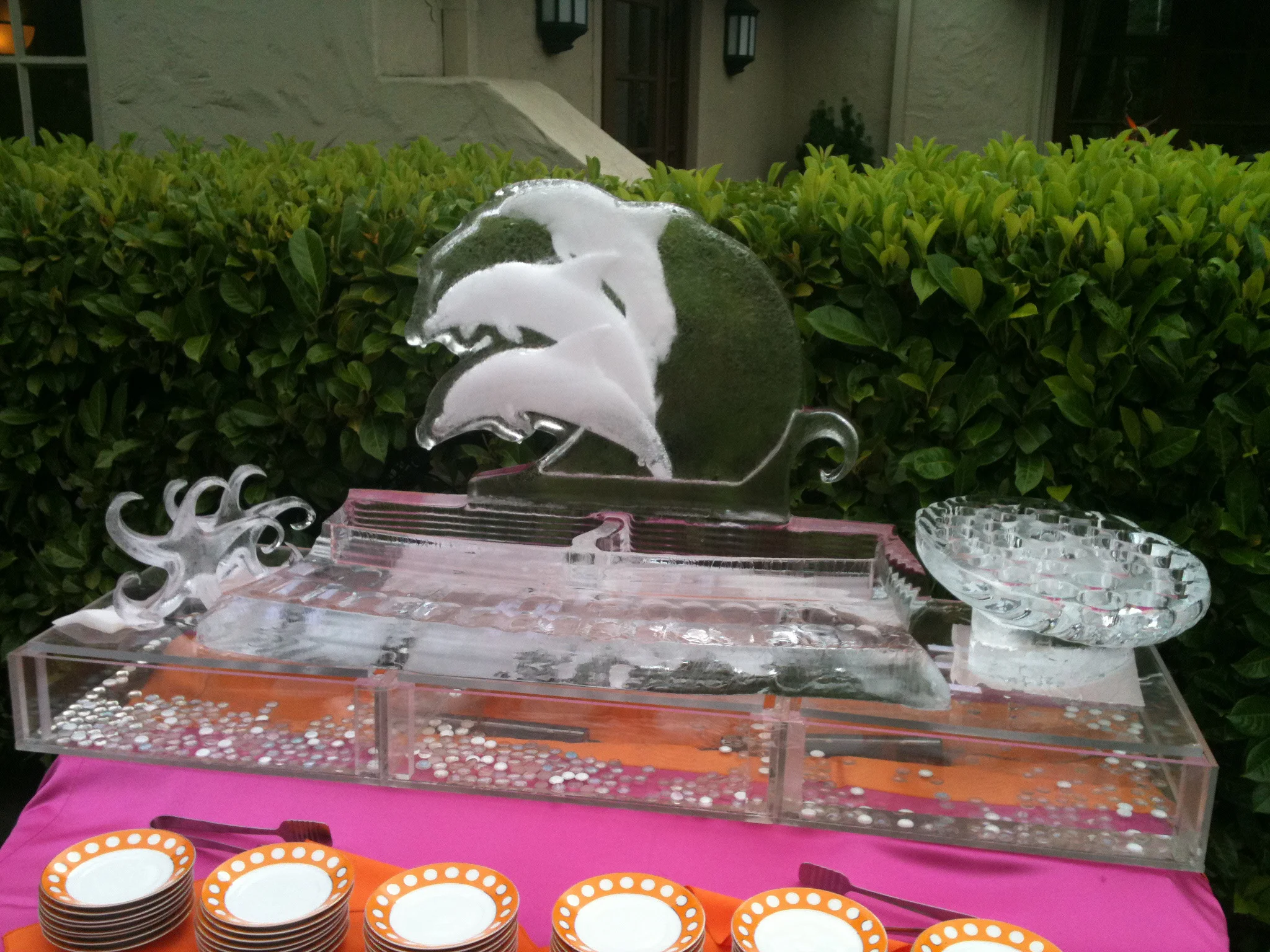 Three Dolphin Seafood Display.jpg