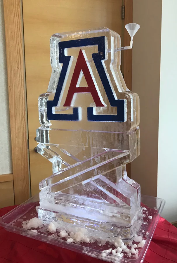 College Graduation Luge