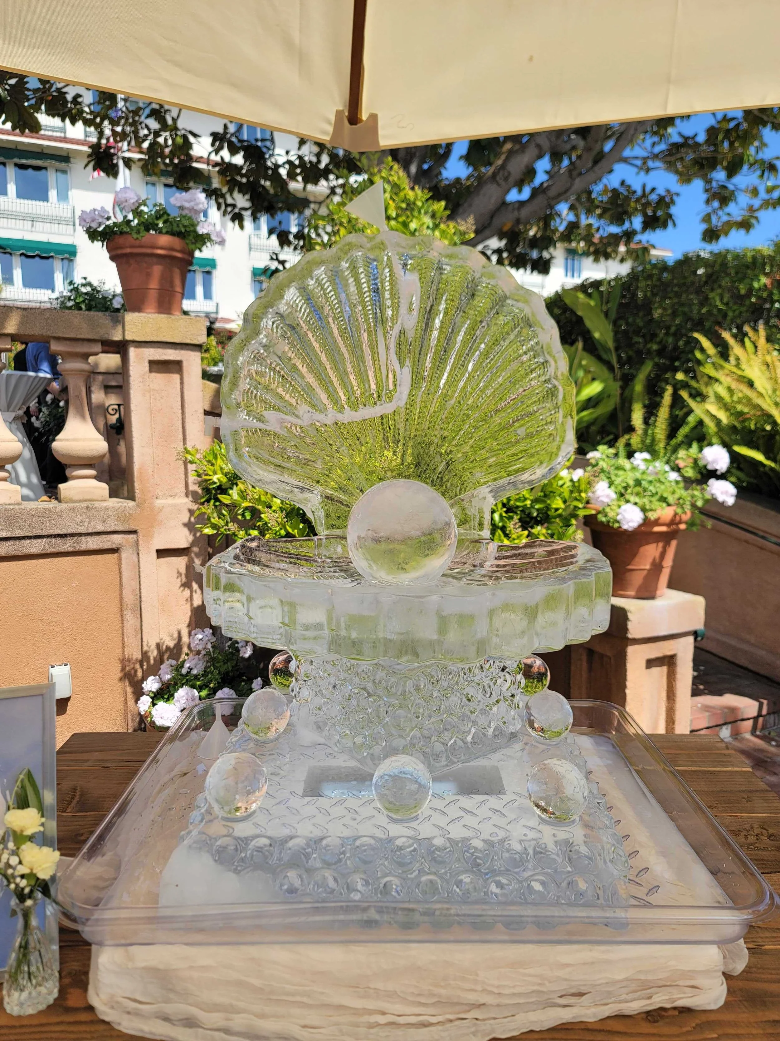 Clam with Pearl Ice Sculpture Display.jpg