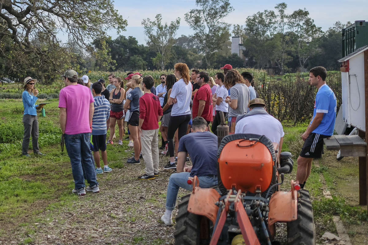 farm field trips.jpg