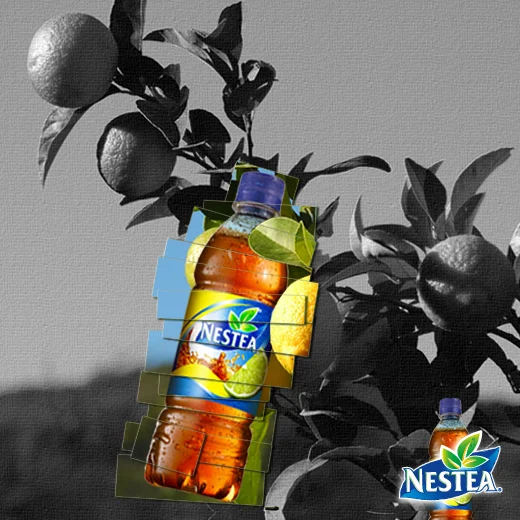 Nestea-Te-Fabiorama-ArtDirection00010.jpg