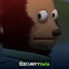 Facturación Electrónica - Security Data 