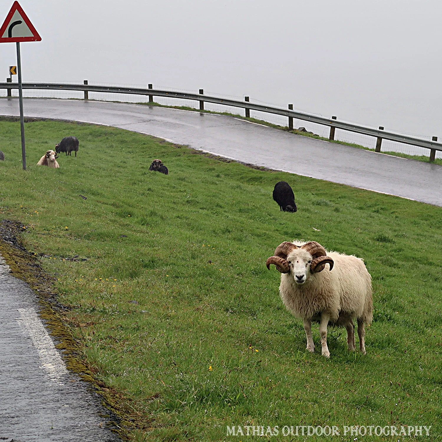 Faroe Island Landscapes Mathias Outdoor Photography