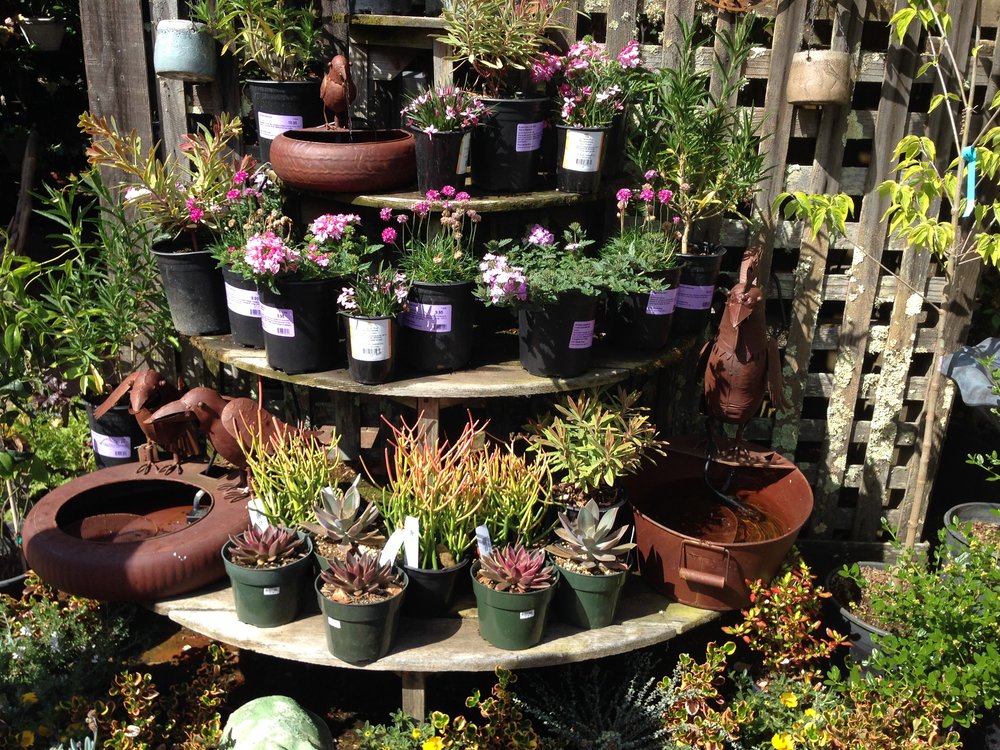 The Beauty of Filoli: Plants for Sale