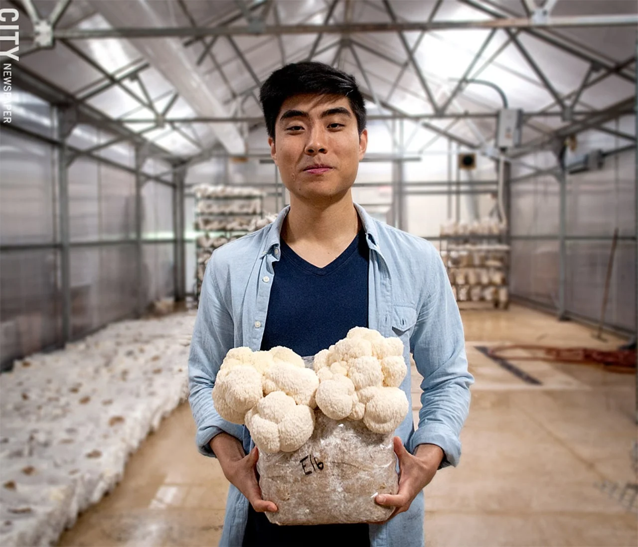 Leep Foods grows super 'shrooms