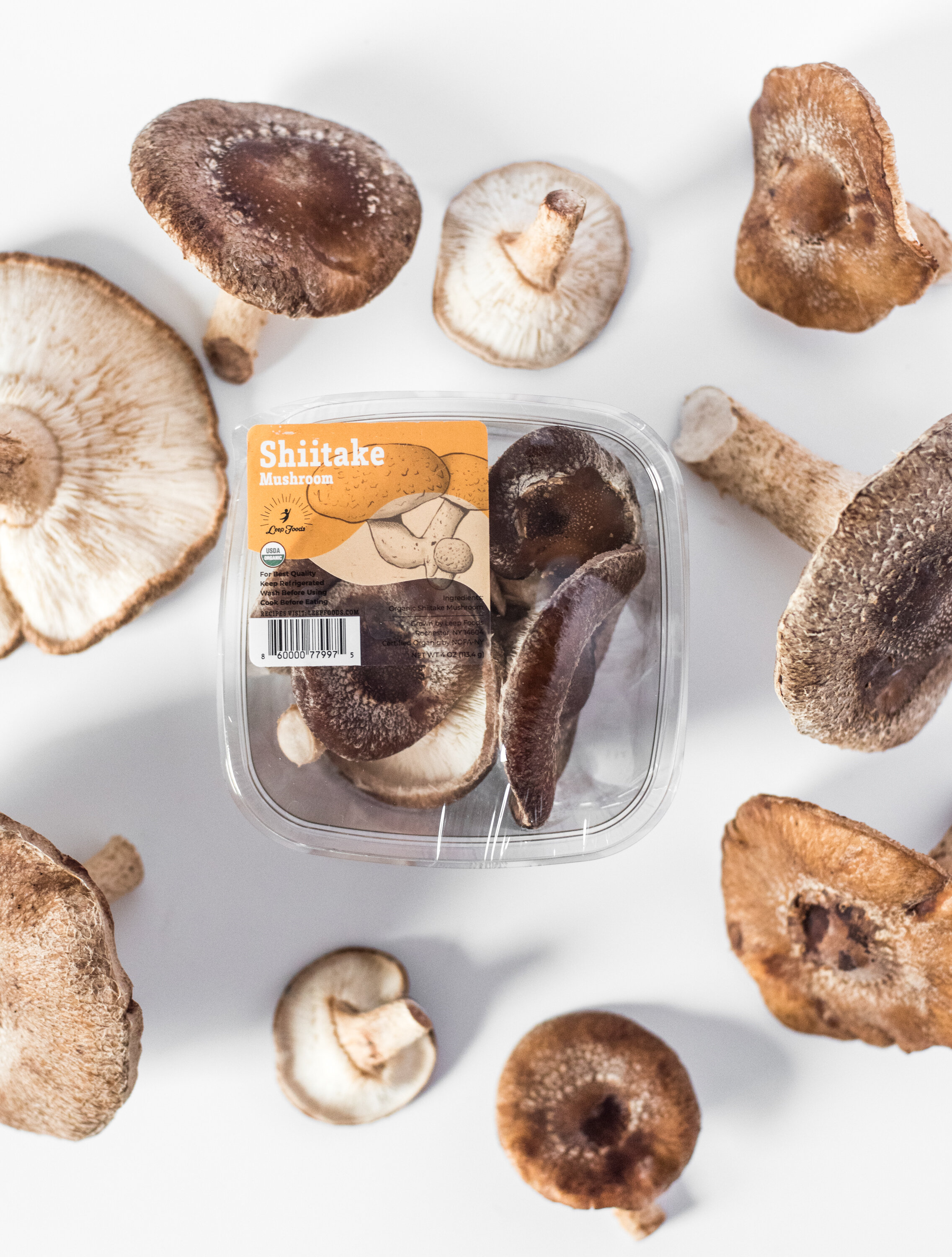 shiitake-8.jpg