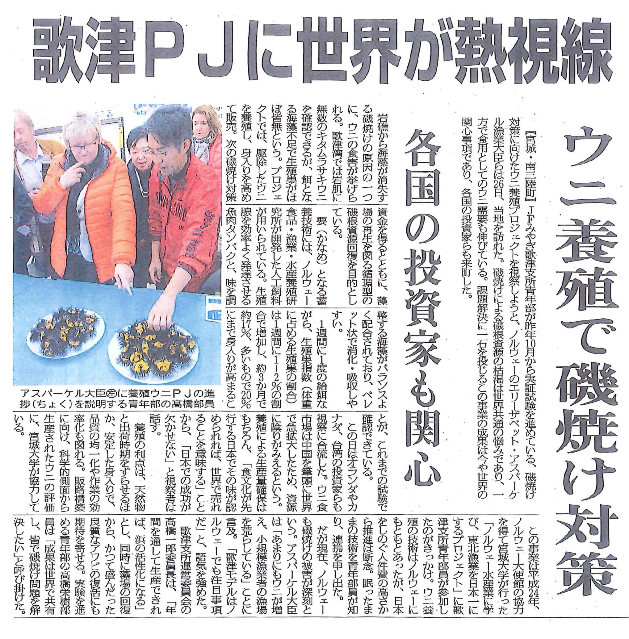 ウニ養殖で磯焼け対策 歌津pjに世界が熱視線 ウニノミクス