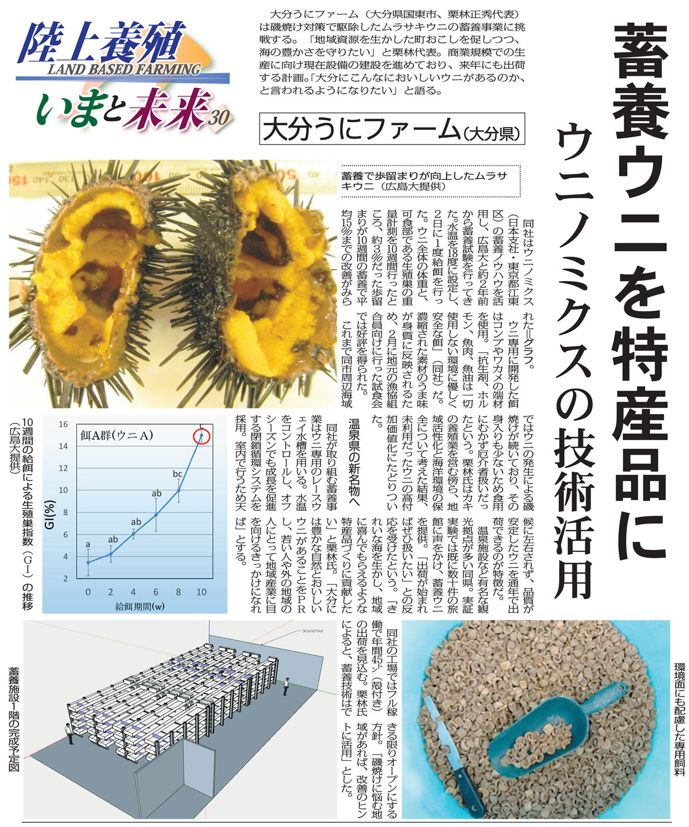 大分うにファーム 蓄養ウニを特産品に 漁業 養殖 陸上養殖いまと未来 ウニノミクス