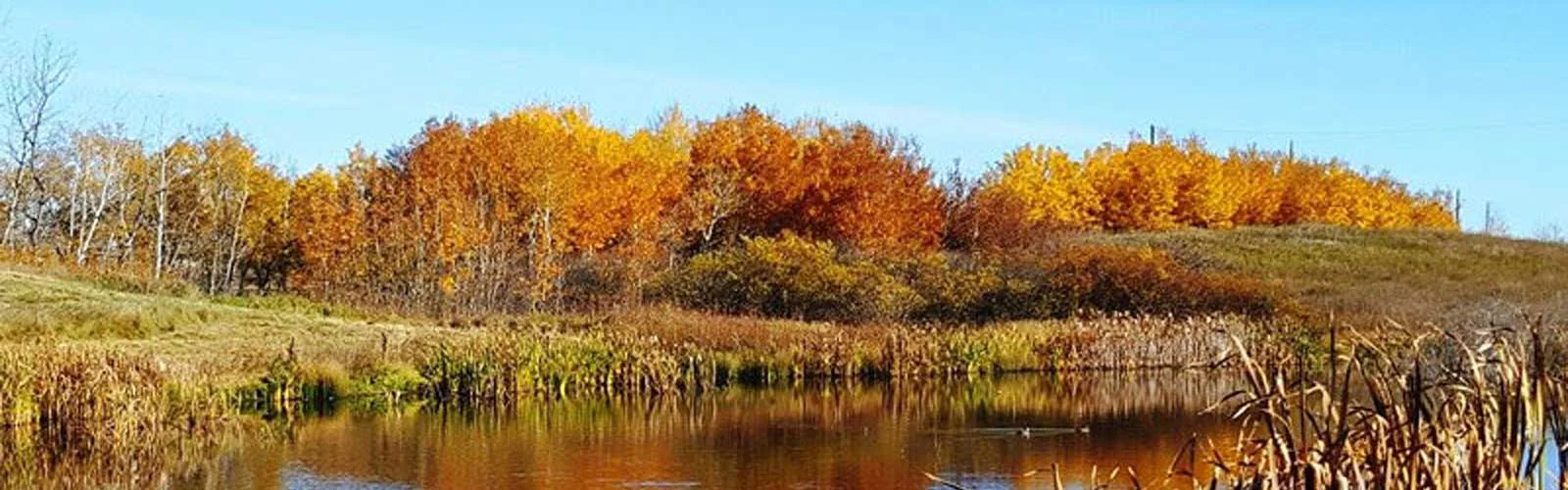 header-neighborhoods-applewood.jpg
