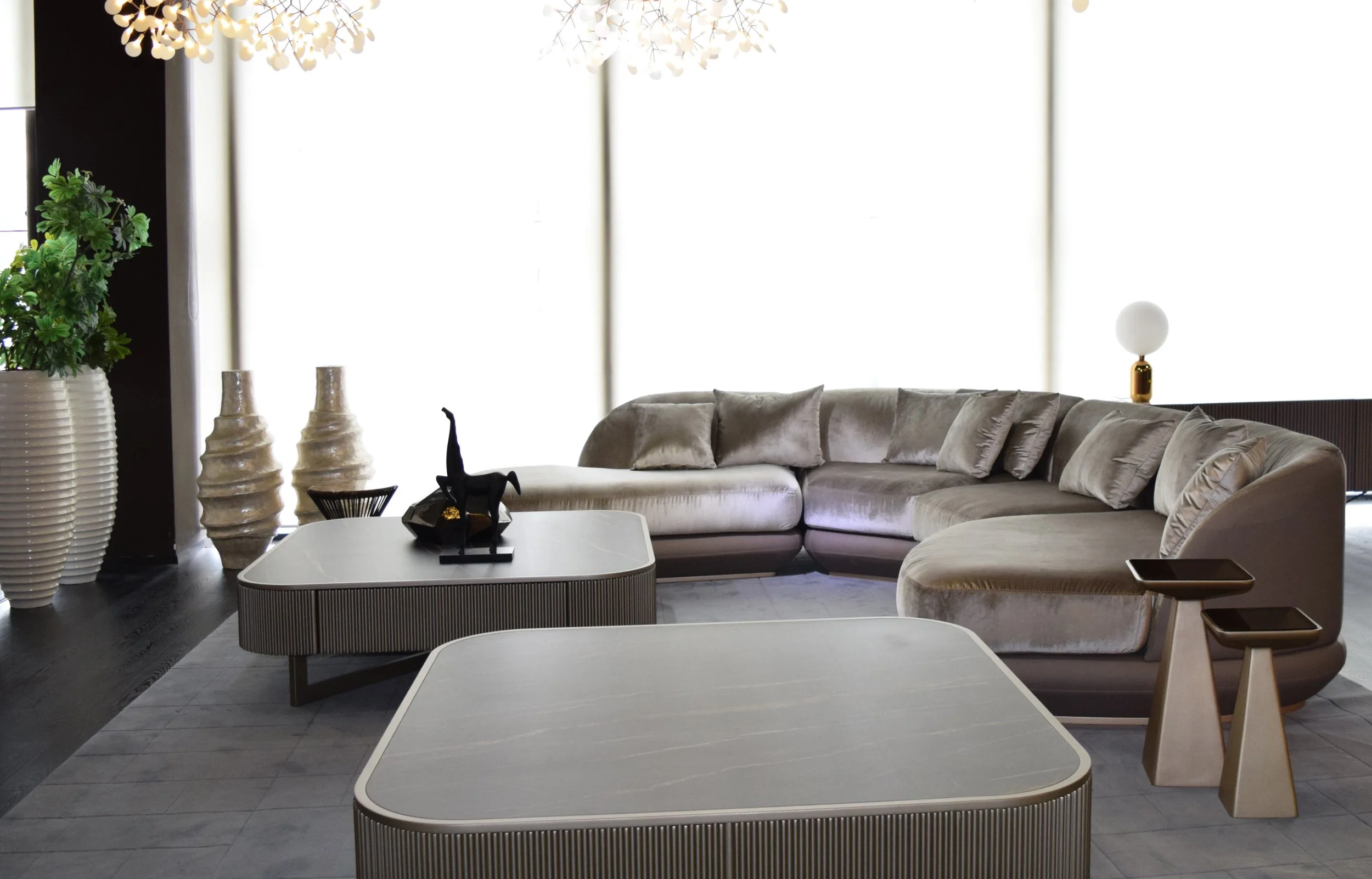 Jose Seen image 2.jpeg