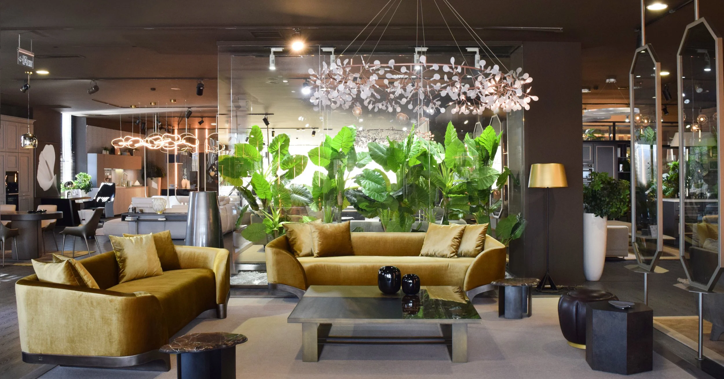 Clement Seen img.jpeg