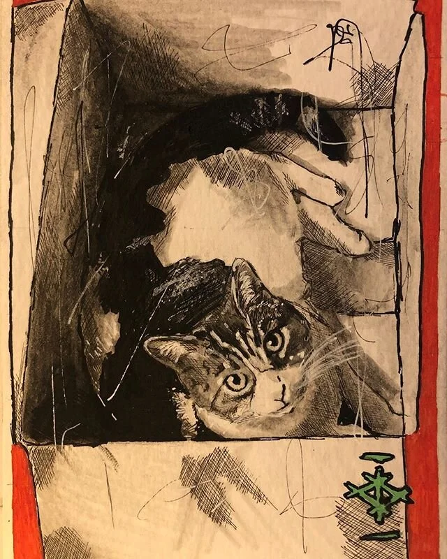 Tonight&rsquo;s efforts, this is @hat_t11 &lsquo;a floof kiko in a box.  #art #artofinstagram #artistofinstagram #artist #drawing #posca #unipin #fineliner #blackink #ink #illustration #pen #pendrawing #bristolart #manchesterart #drawingpractice #ins