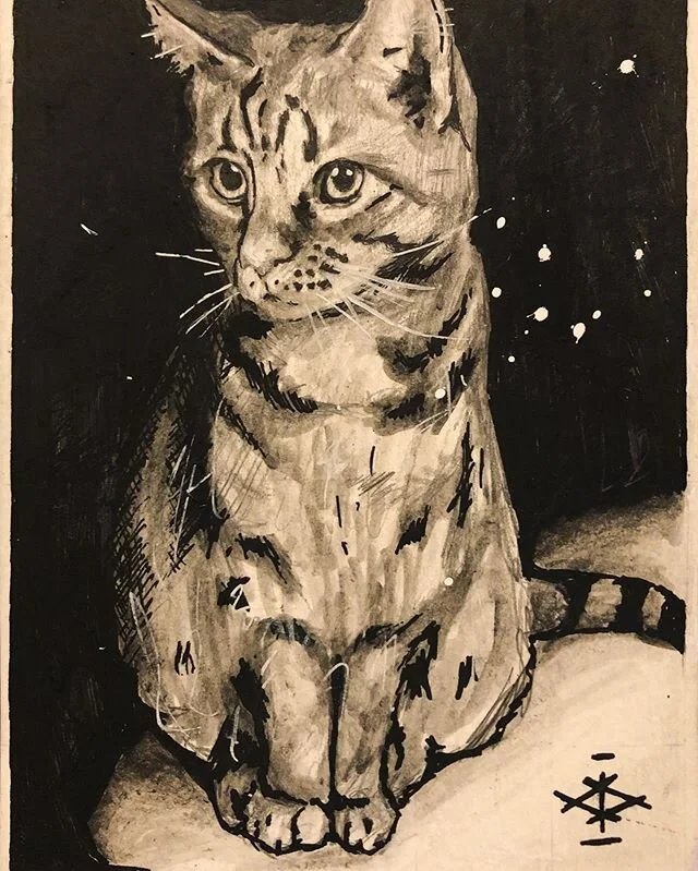 Made a postcard of @0kay_rae &lsquo;s little floof, can&rsquo;t remember his name though. Check out my other page @idrewyourcat  #idrewyourcat #art #artofinstagram #artistofinstagram #artist #drawing #posca #unipin #fineliner #blackink #ink #illustra