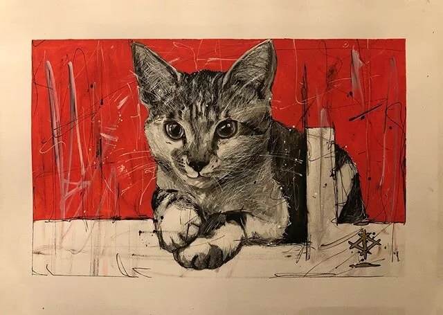 @xvix619x liked her little drawing of floof and commissioned me to do a full a3 version. Here he is again. #art #artofinstagram #artistofinstagram #artist #drawing #posca #unipin #fineliner #blackink #ink #illustration #pen #pendrawing #bristolart #m