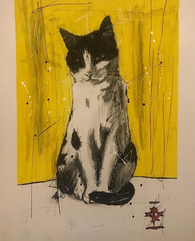 Grumpy cat Winnie for Steph&rsquo;s Birthday. #art #artofinstagram #artistofinstagram #artist #drawing #posca #unipin #fineliner #blackink #ink #illustration #pen #pendrawing #bristolart #manchesterart #drawingpractice #instart #sketch #practice #cat
