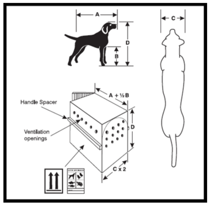 Dimensions for crate to travel with pet