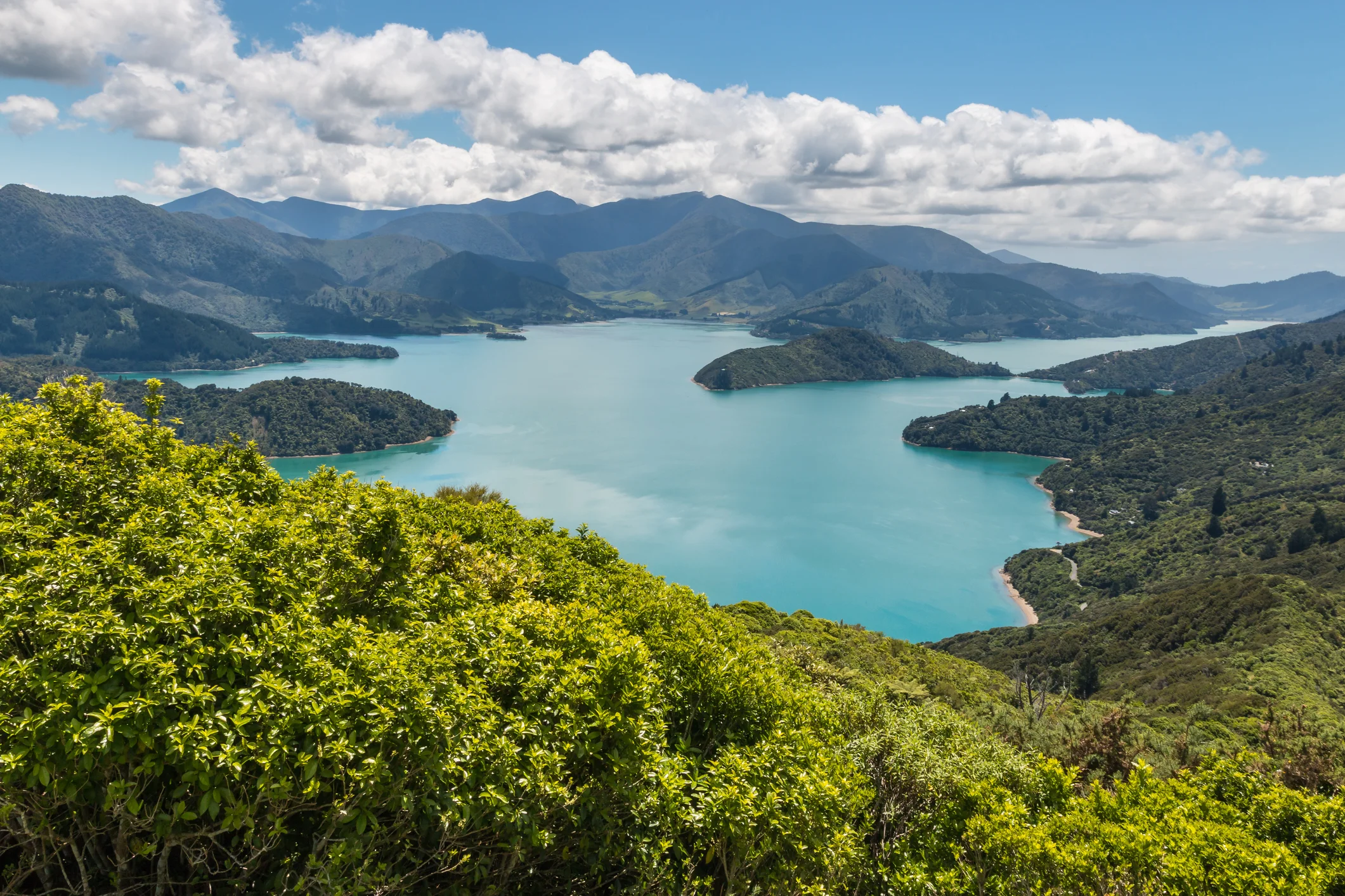 Views &amp; Speed In Marlborough Sounds