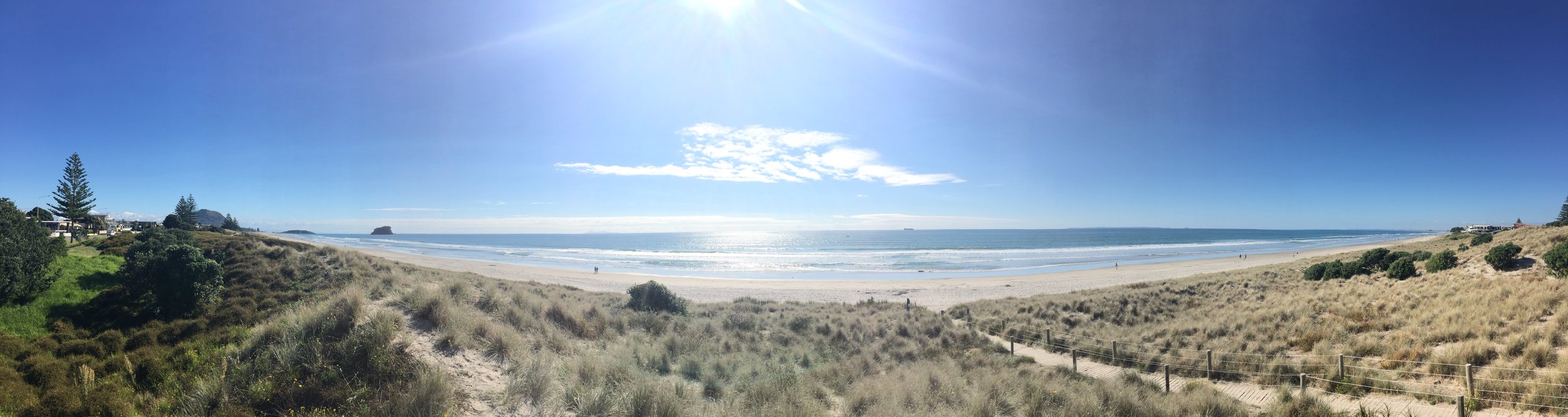 Improve lead times &amp; flexibility with NZ Made