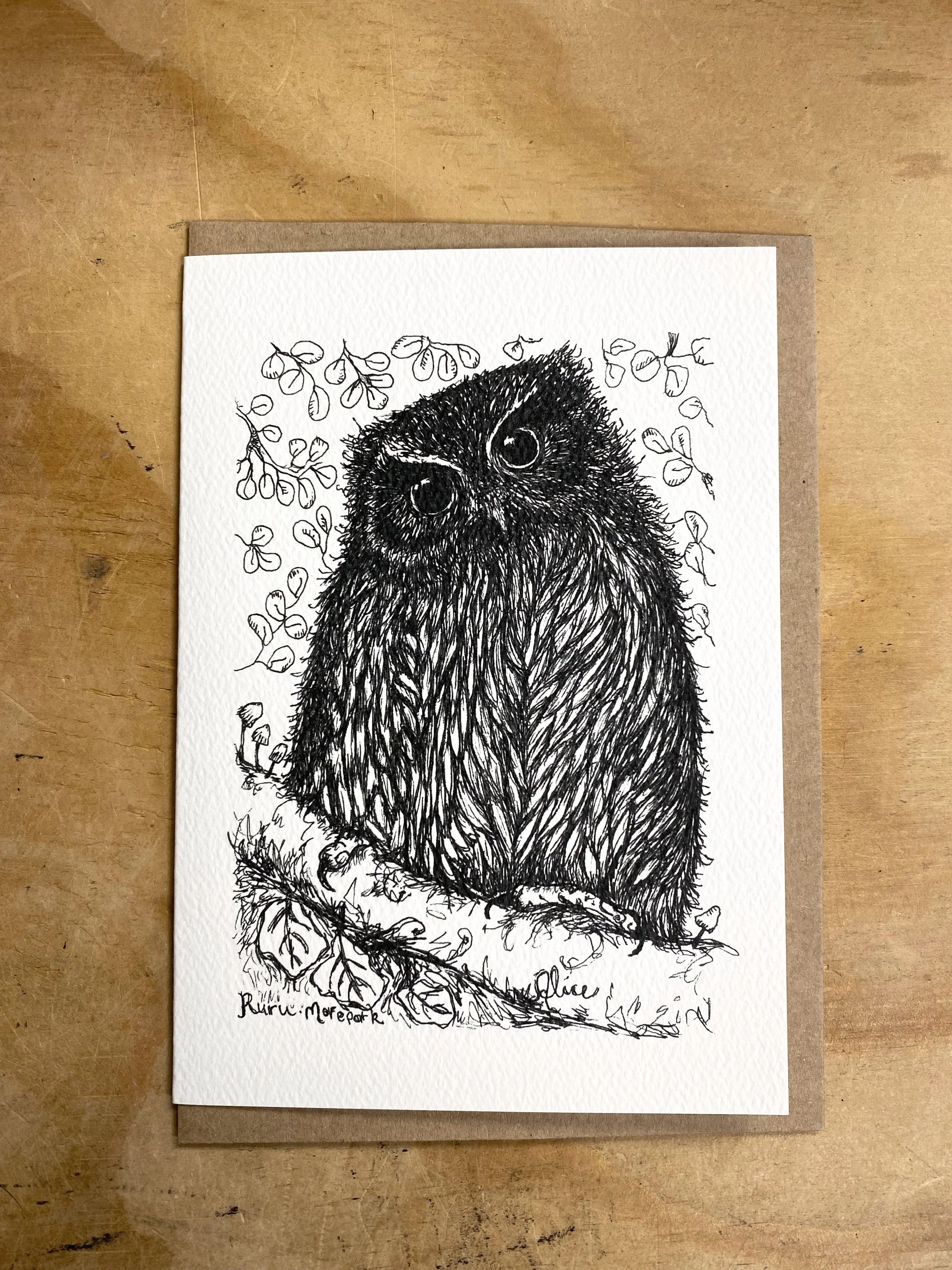 morepork - ruru