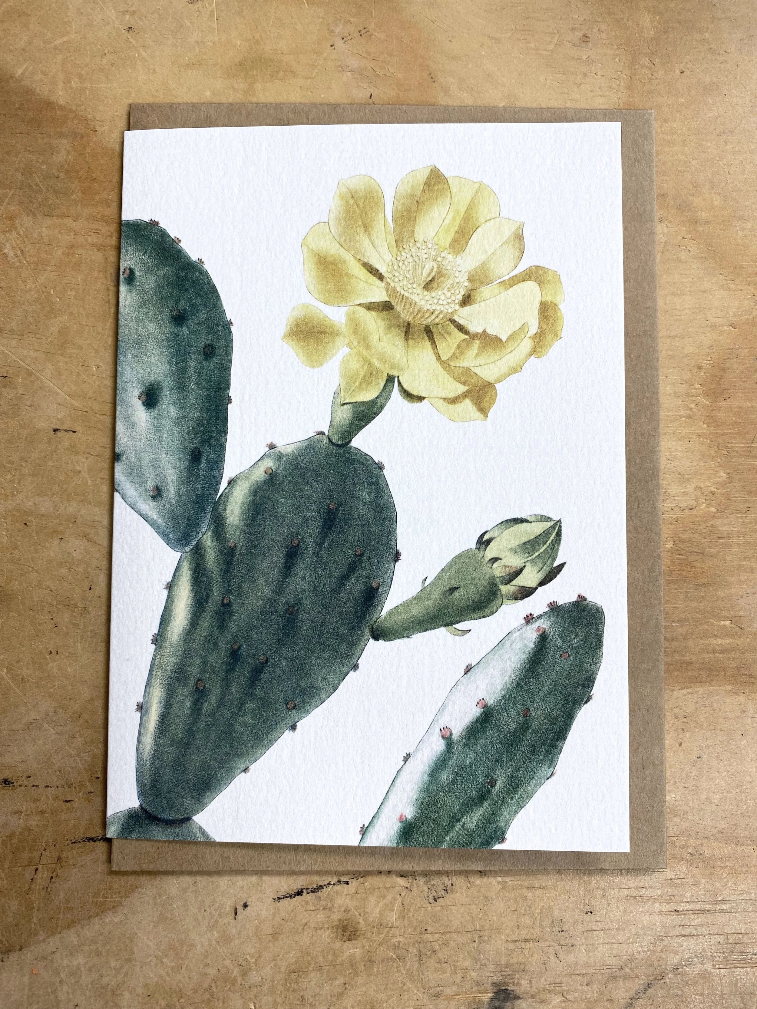 Opuntia Cactus