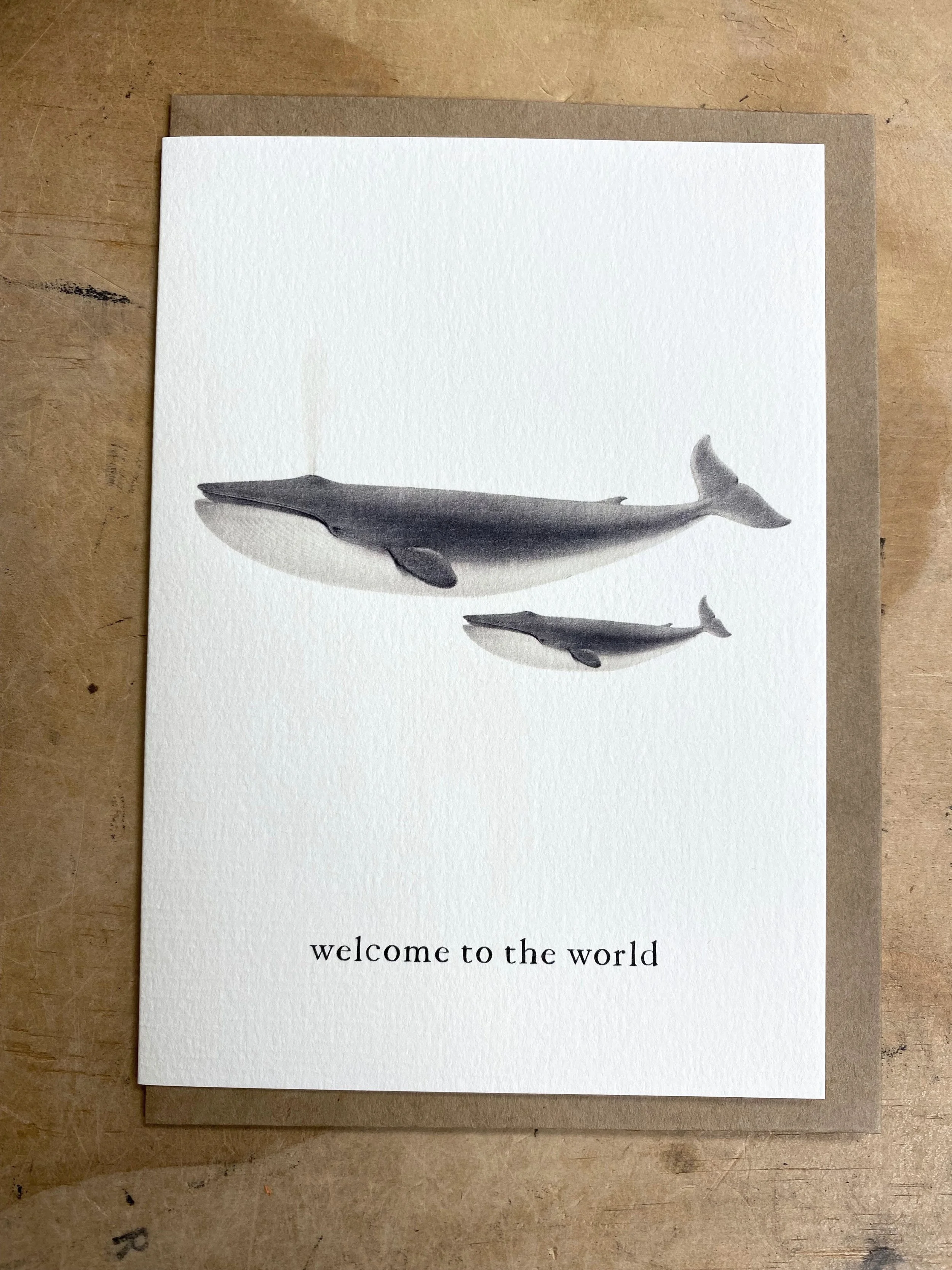 welcome to the world