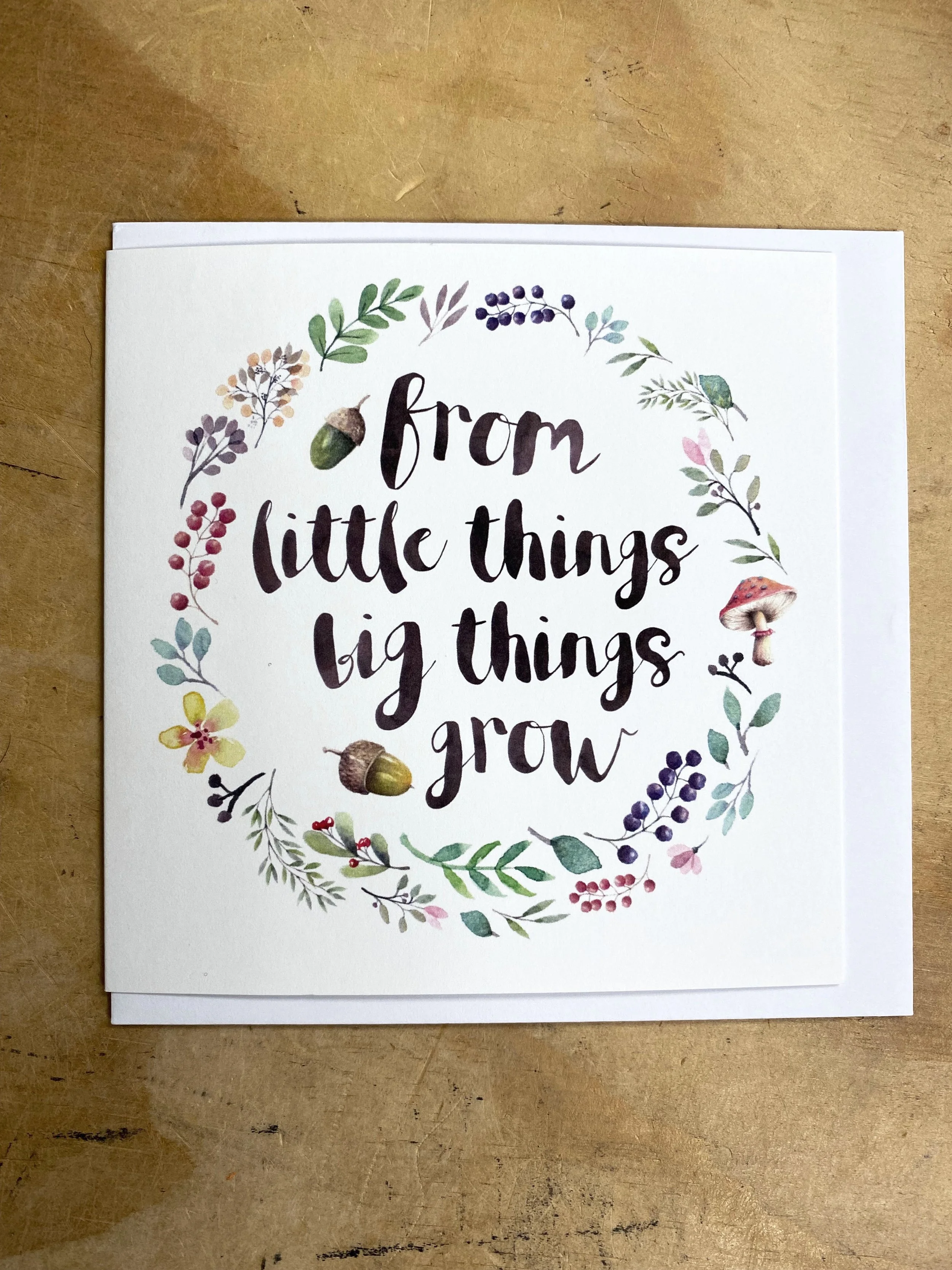 from little things big things grow
