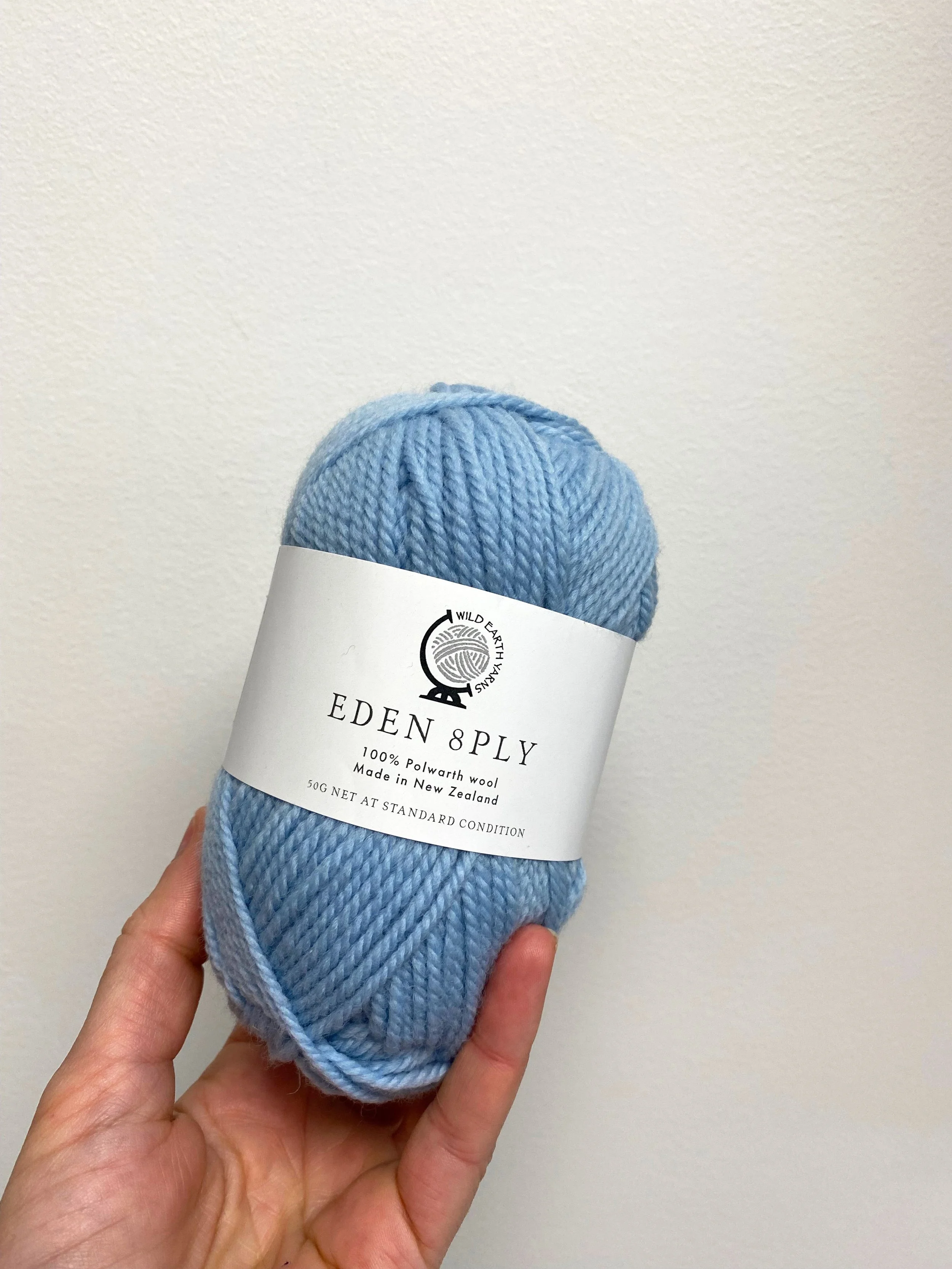 DK Eden 100% NZ Polwarth Wool 50g - Sky