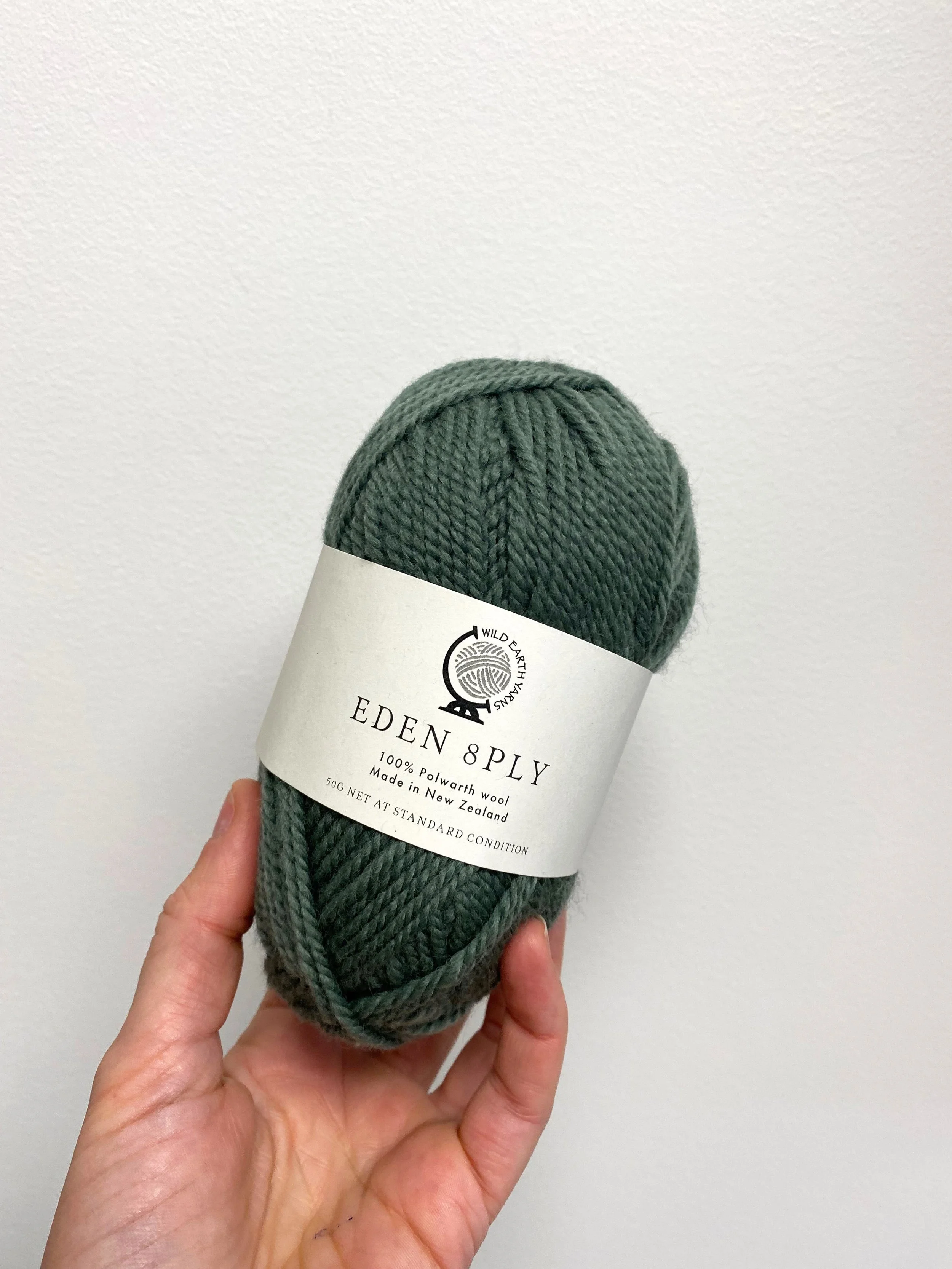 DK Eden 100% NZ Polwarth Wool 50g - Sage