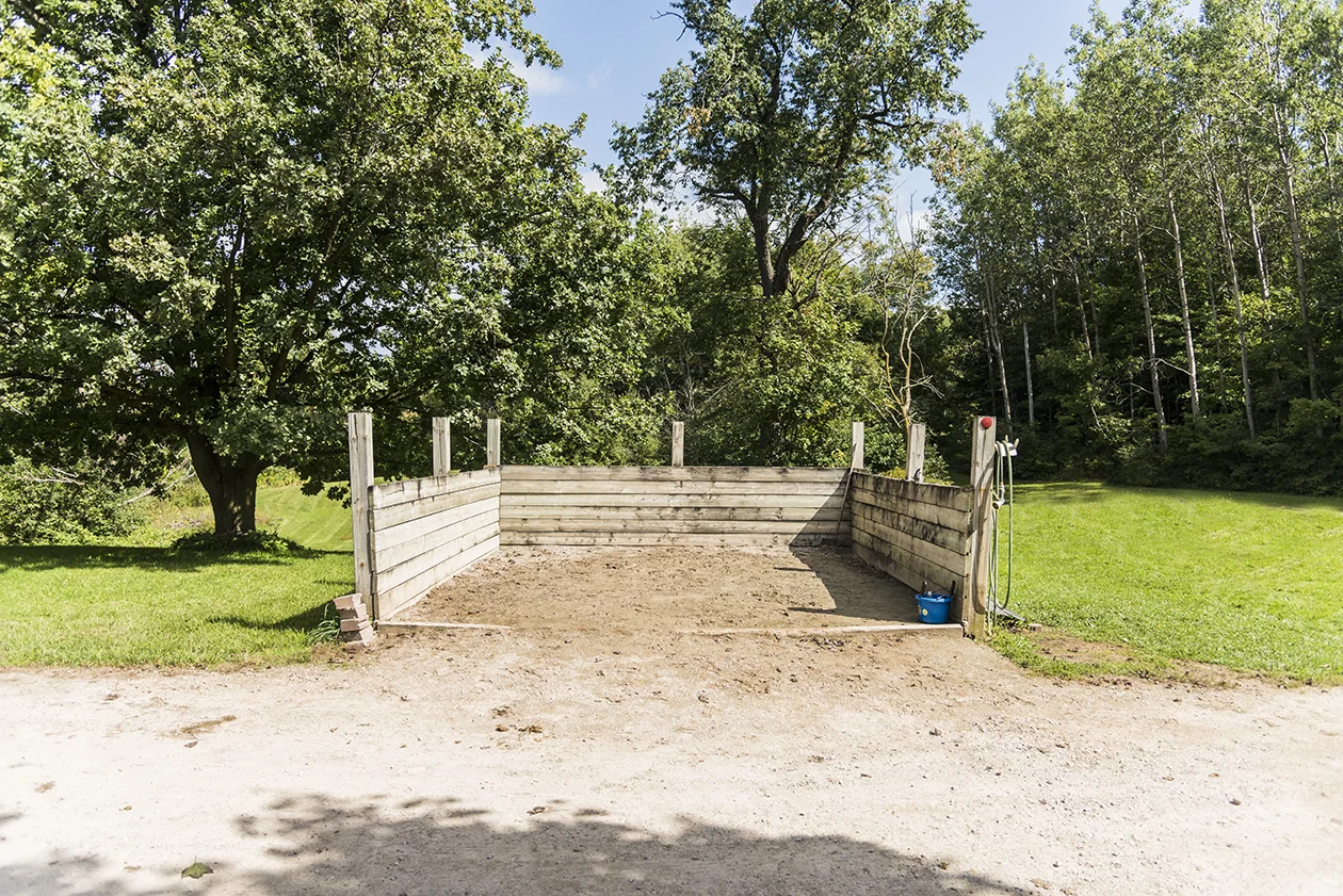 ABPhotos_DSC_2460.jpg
