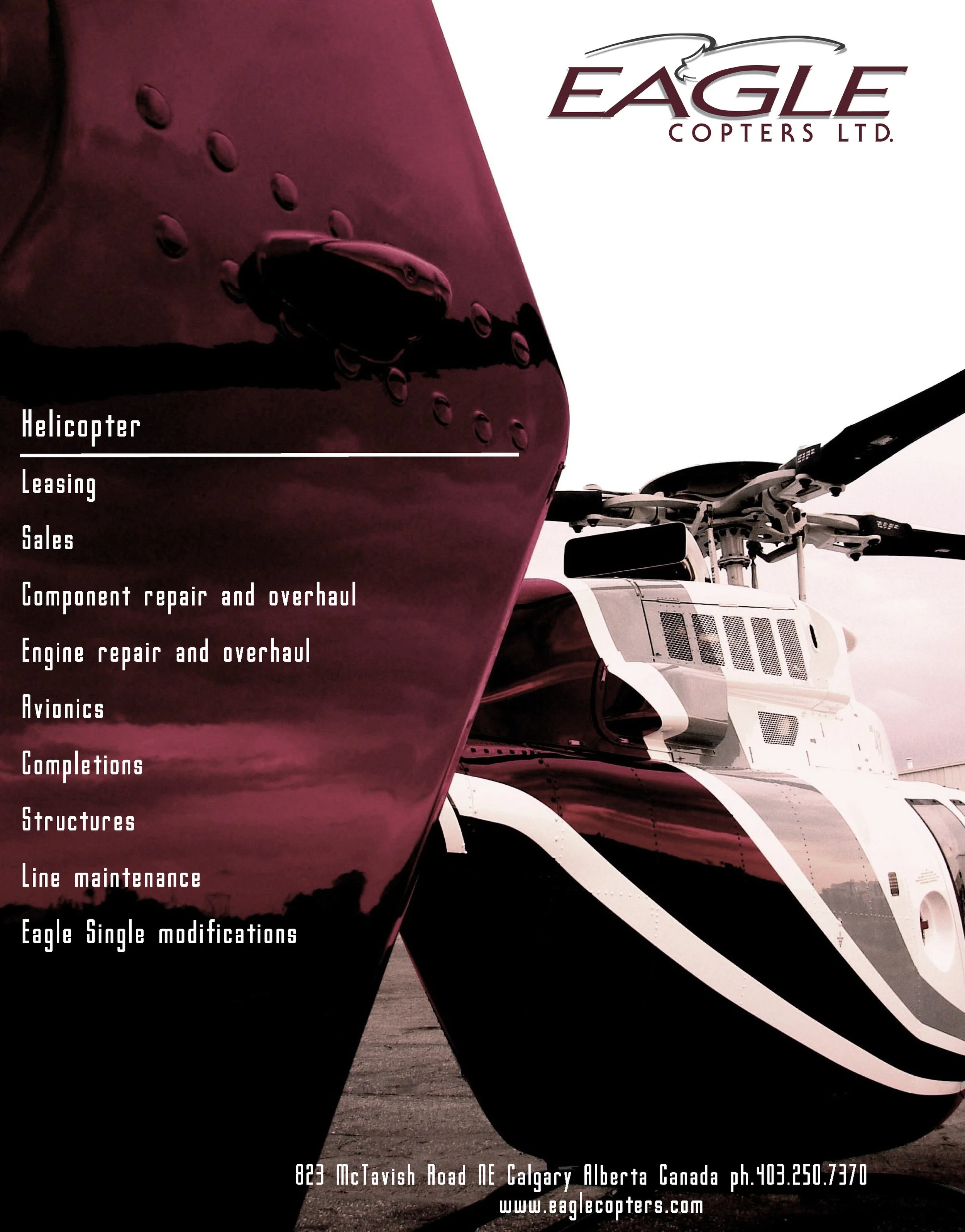 2008 Ad Rev.2.1.jpg