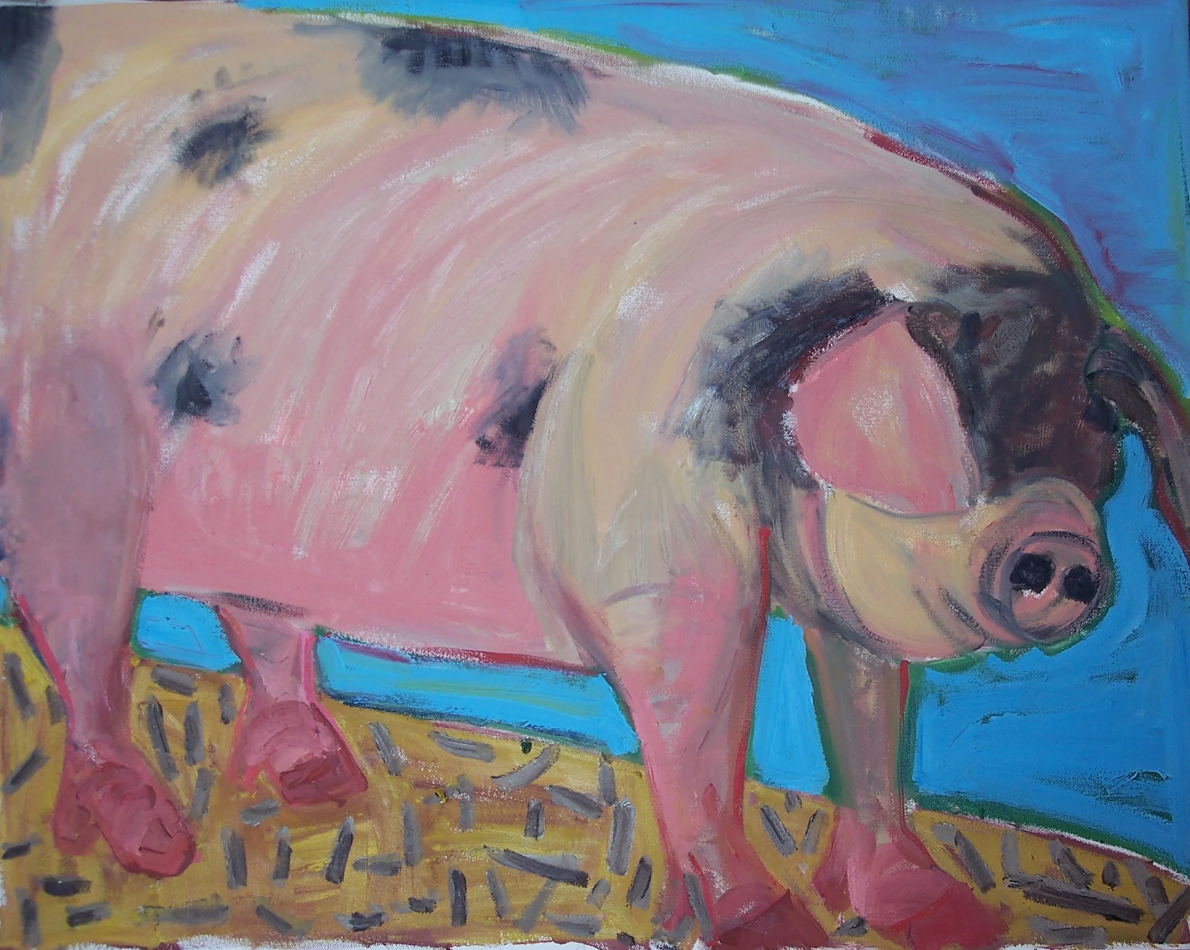 Pig with Black Face (28 X 24)