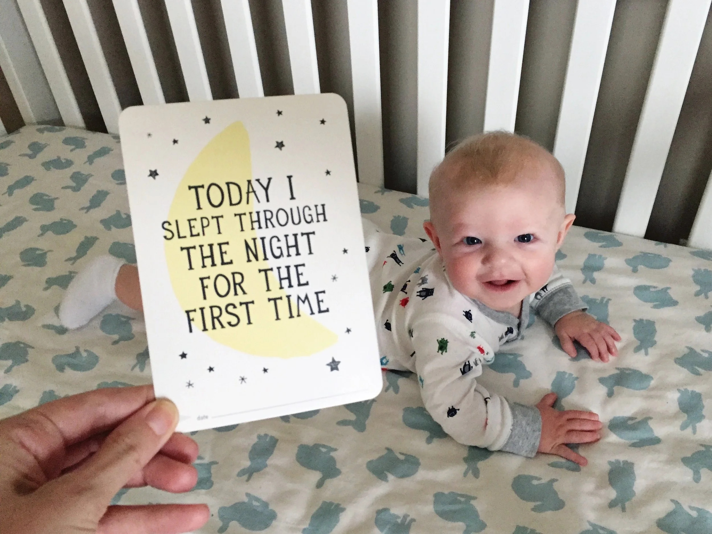 Nolan - 6 Month Milestones