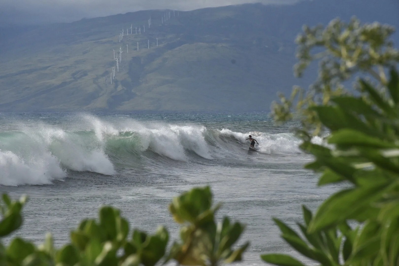 Maui, HI