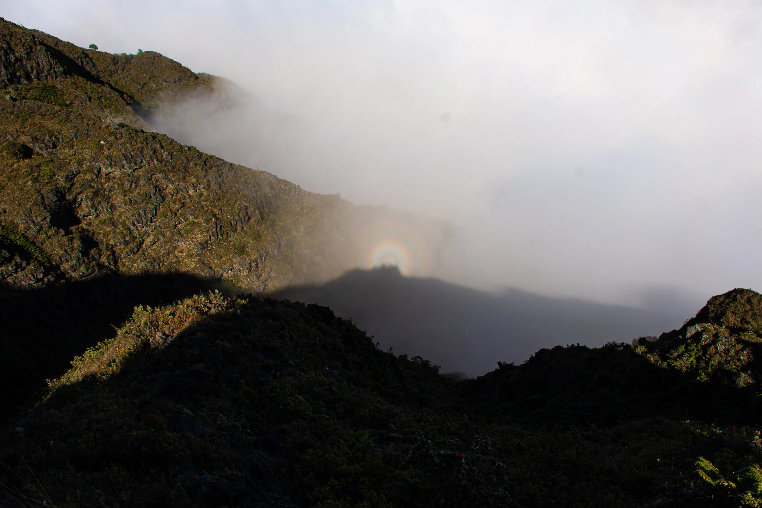 000_9407.JPG