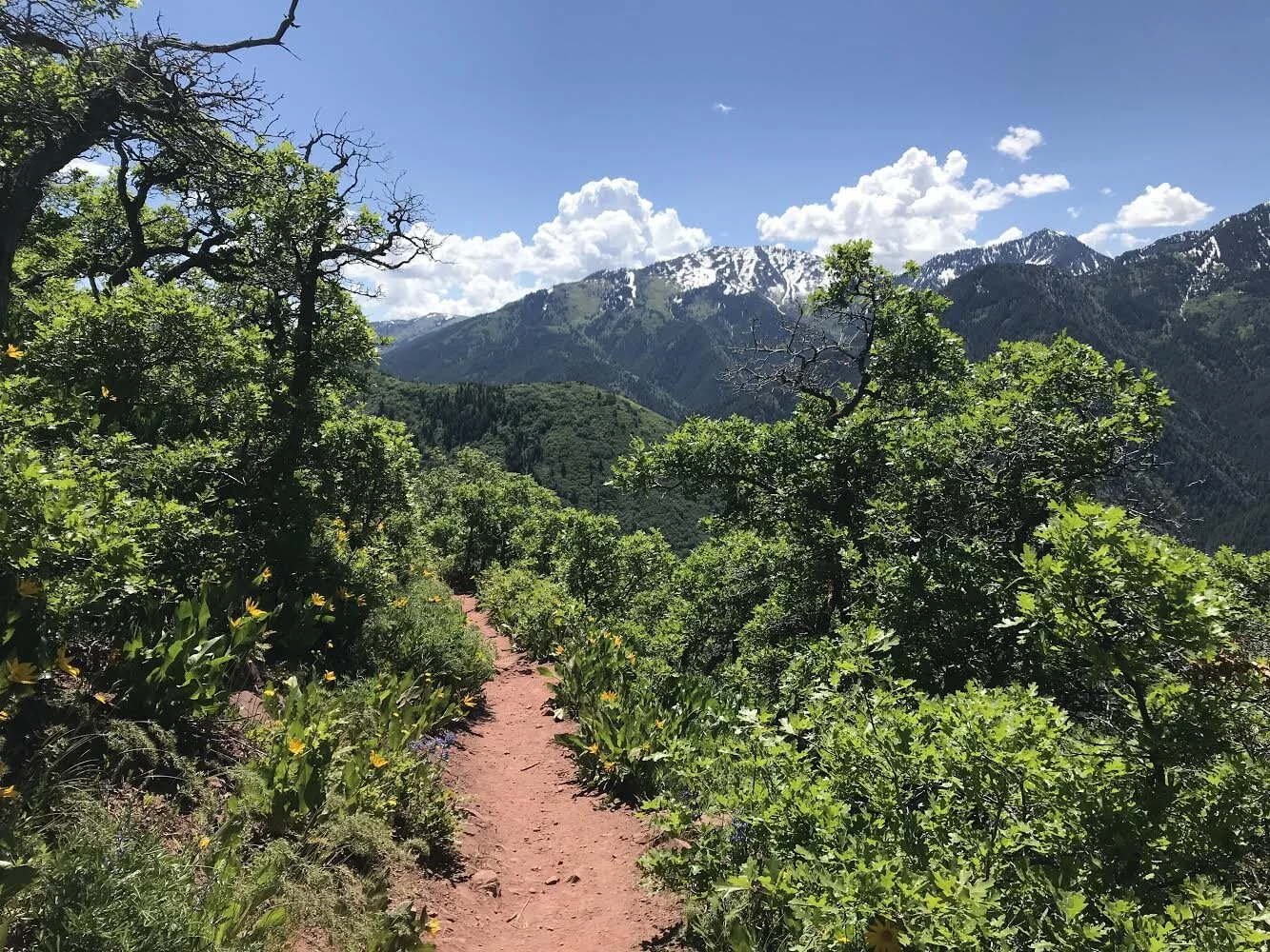 Wilderness First Aid Course — Bike Utah