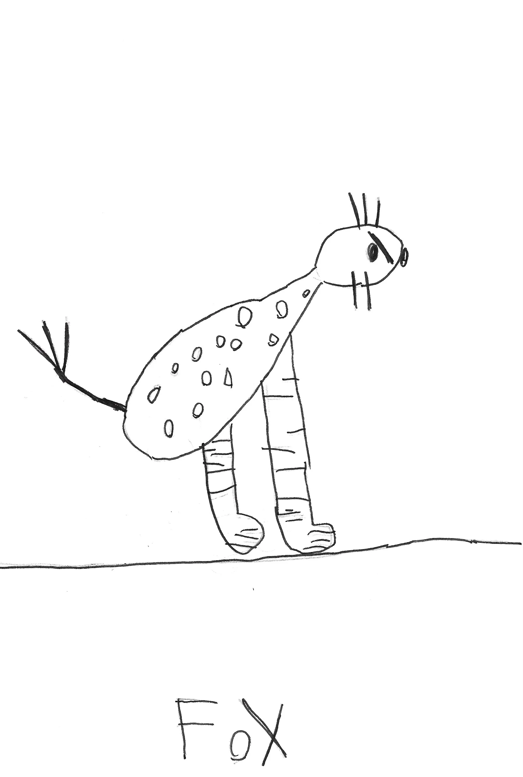 Fox 090618.jpg
