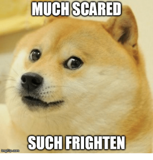 much-scared-such-frighten-mglipcom-19288882.png