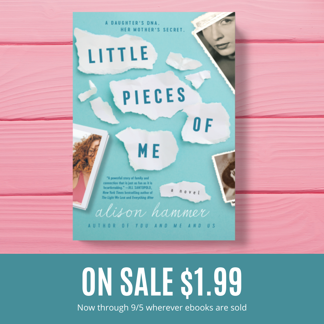Buy Little Pieces of Me and You and Me and Us — Alison Hammer