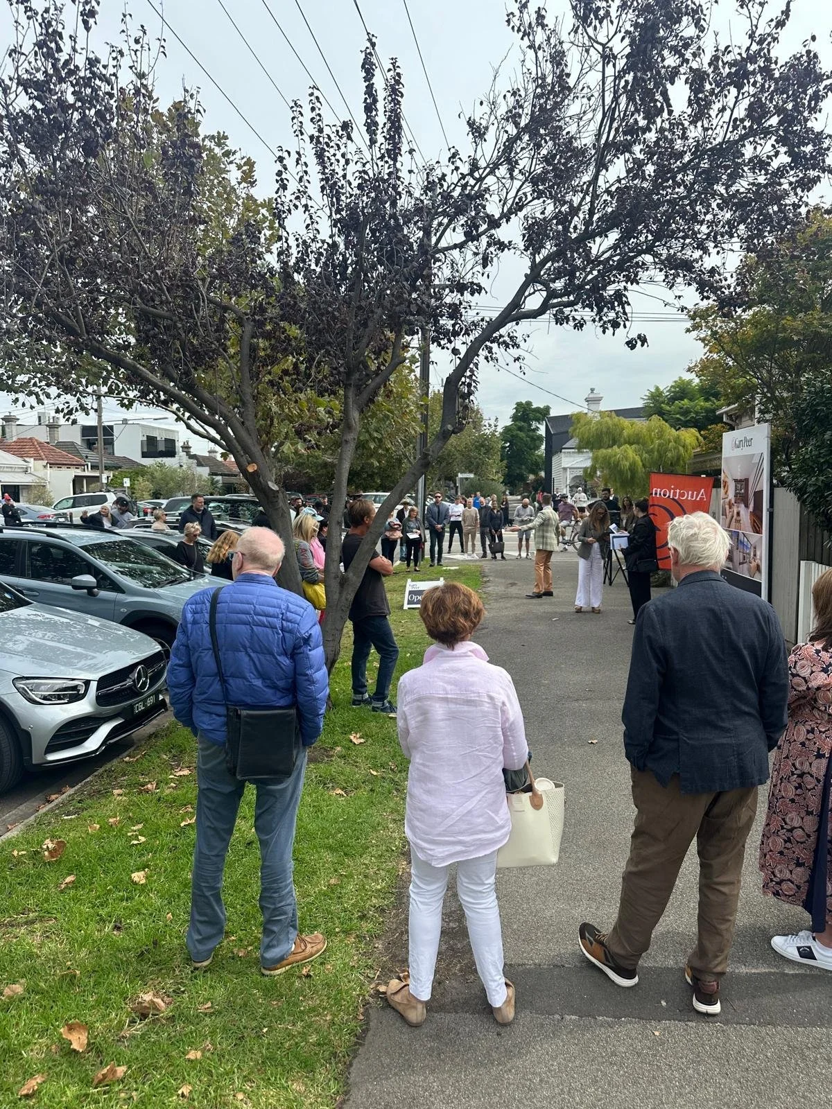 How To Navigate The Auction Pass In.