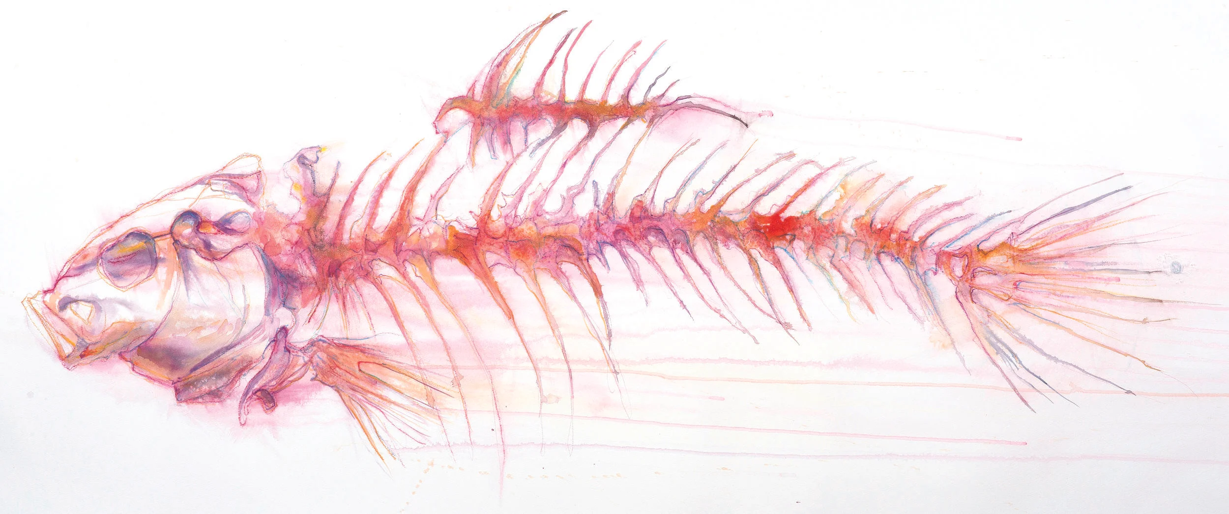 Red Herring II - approx 1.25m wide x 80cm deep. $2275 Framed